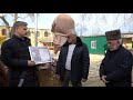 283-летний платан в Дербенте признан «Российским деревом года-2020»