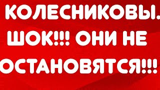 Колесниковы// ШОК!!! Они не остановятся!!! //Обзор видео//