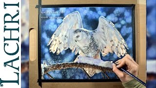 pencil background drawing draw drawings blurry colored pencils easy painting watercolor paint lachri soft realistic using