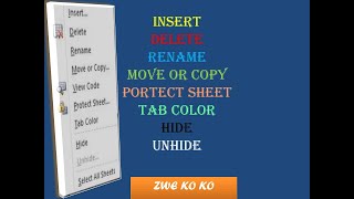 Insert, Delete, Rename ,Move or copy ,Protect sheet ,Tab color ,Hide, Unhide