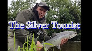 Salmon Fly Fishing (The Silver Tourist )