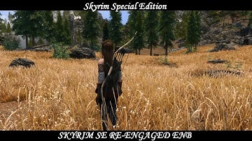 Skyrim SE - SkyrimSE Re-Engaged ENB - Special Showcase (Congrats on the Nexus +20.000 Endorsements )