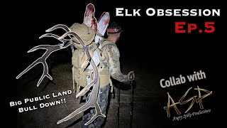 ELK OBSESSION EP5: Big Bull Down! (ASP Collab Day 1)