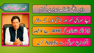 How To Apply For Insaf Imdad Program 2020 || Government Of Pakistan