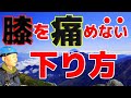 【登山初心者】絶対に膝を痛めない下り方完全解説