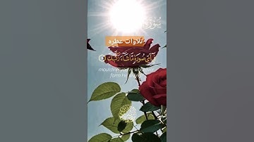 #تلاوة_خاشعة #تلاوات #تلاوات_عطرة #explore #viralvide #تلاوات_هادئة #اكسبلور @super fans