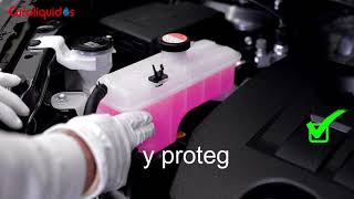 Video Refrigerantes Febi Euroliquidos