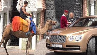 CAMEL GOLD DIGGER PRANK BENTLEY EDITION (Social Experiment) - 2017 Public Pranks