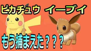 ポケモン剣盾 イーブイを捕まえる方法は