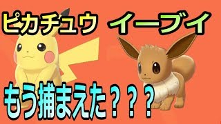 ポケモン剣盾 イーブイとピカチュウが両方ゲットできる場所 ポケットモンスターソード シールド Games Wacoca Japan People Life Style