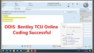 ODIS  Bentley TCU Online Coding Successful Net Worth