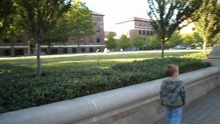 SAM_0059.AVI