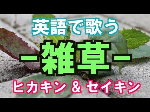 【英語フルで歌う】雑草 / ヒカキン＆セイキン (Cover by Castro aka NORR)