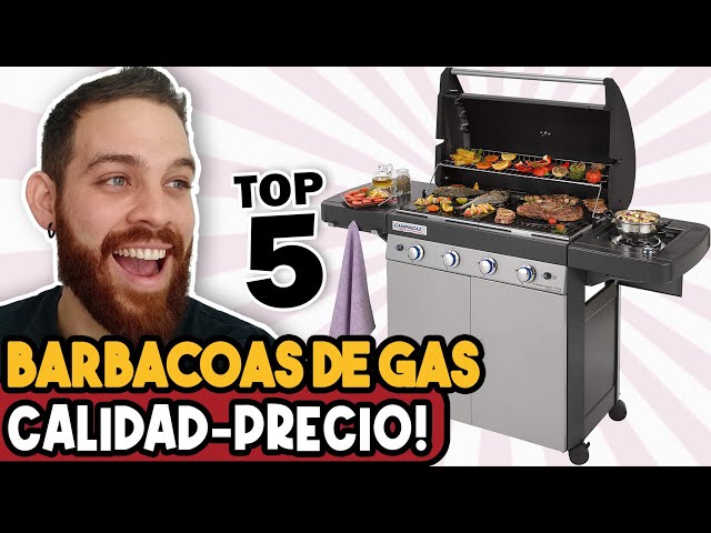 Comparativa barbacoas ¿carbón o gas? - Blog Bricovel