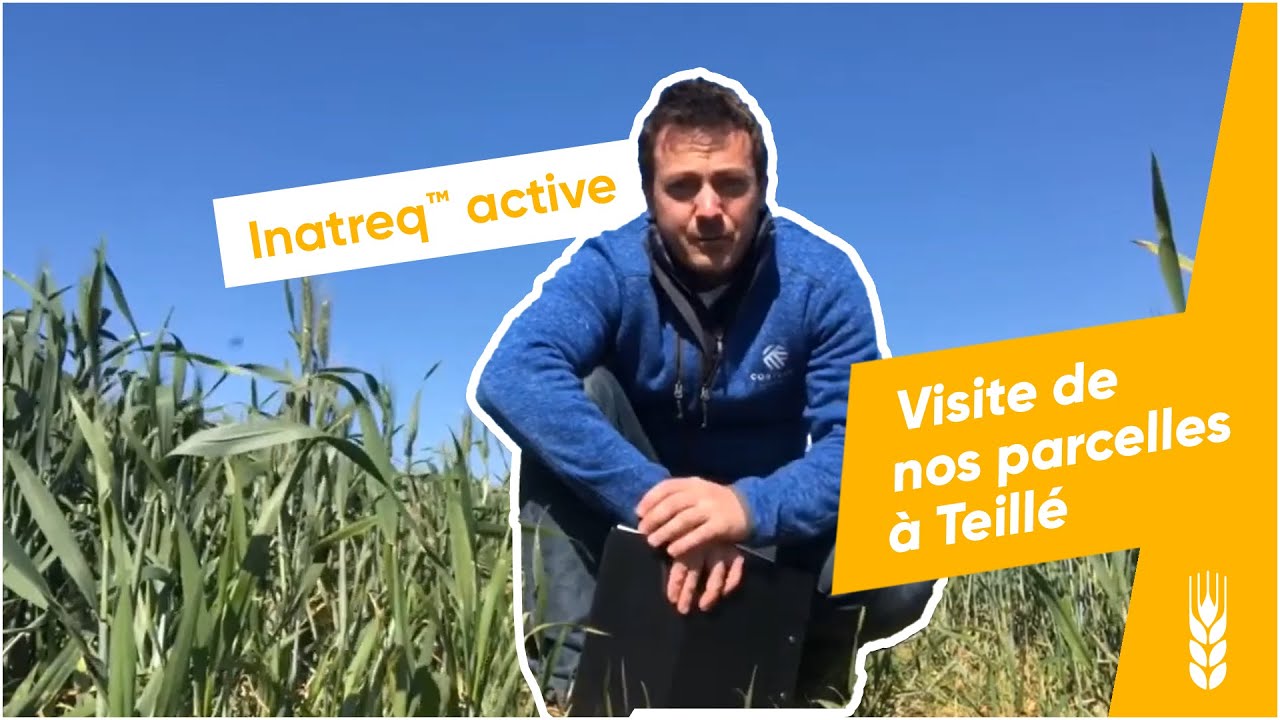 Inatreq™ active : visite de nos parcelles à Teillé