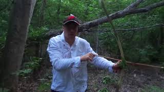 Katy Perry forced me to live in the forest!!!