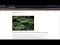 WebSecurityAcademy - Lab: OS command injection, simple case