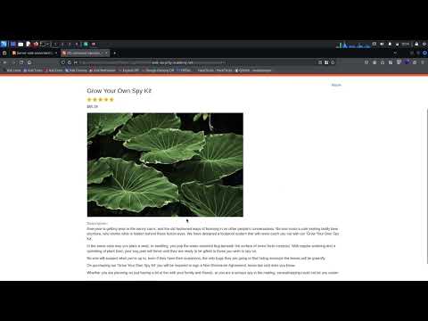 WebSecurityAcademy - Lab: OS command injection, simple case