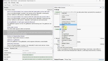 Phrase shortcuts (macros)