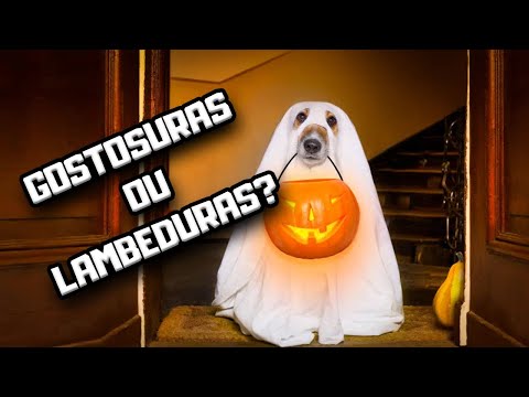 Vídeo: O que fazer quando seu cão come doces Halloween