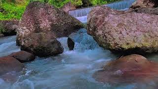 River Sound for Relaxing | 10 Minutes Natural Water Flow
