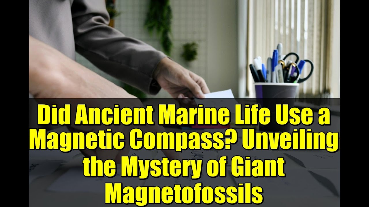 Did Ancient Marine Life Use a Magnetic Compass? Unveiling the Mystery of Giant Magnetofossils