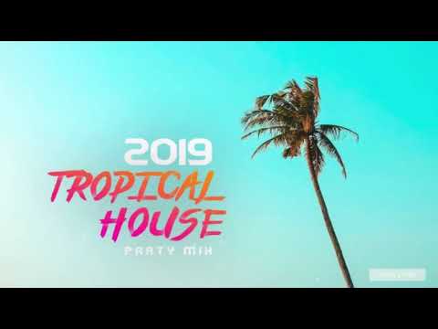 PARTY  MIX: TROPICAL HOUSE 2019