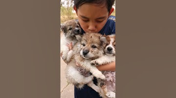 Give me the food‼️ You cannot resist US😁 | JJaiPan #shorts #tiktok