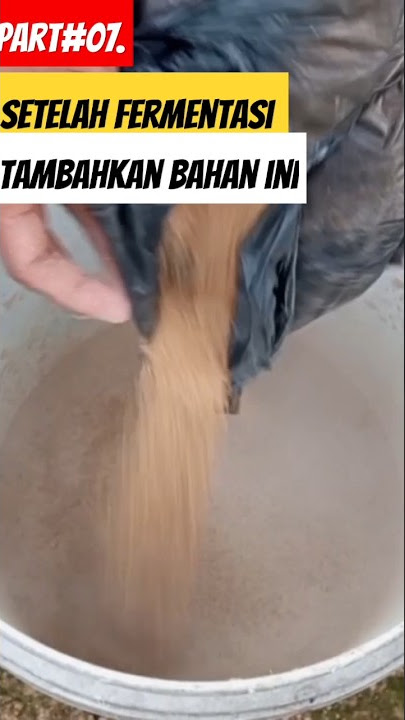 Download lagu TAMBAHKAN RONSUM PROTEIN INI KE FERMENTASI AMPAS UBI