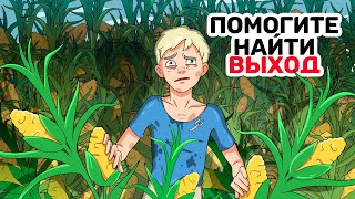 Я на 3 дня потерялся на кукурузном поле