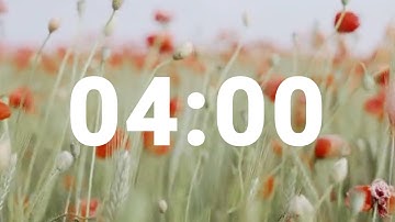 4 Minute Timer with Relaxing Music and Alarm, Countdown Clock for Stress Relief