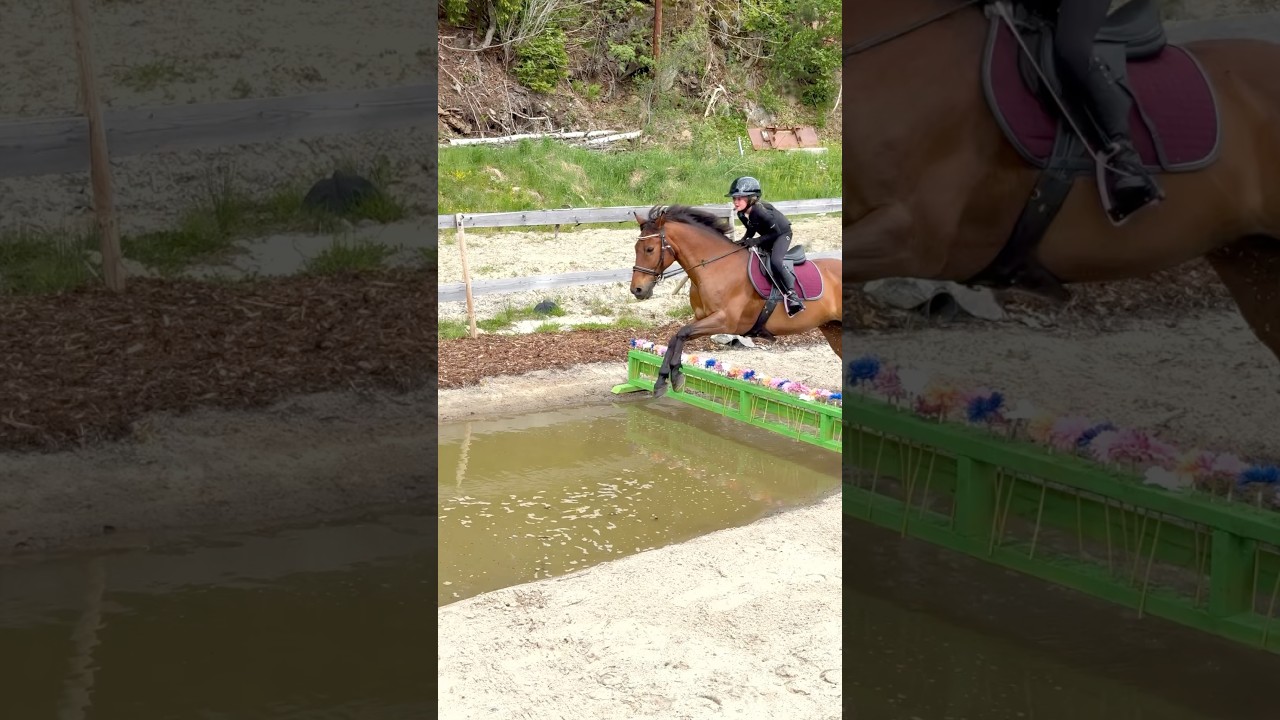 We made this 🤩 Ella and Tarzan loved it❤️ 