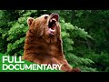 The Strongest | Wild Ones | Episode 1 | Free Documentary Nature