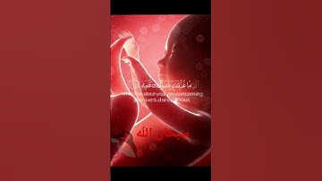 سورة الأنفطار ، بصوت القارئ عبد الباسط عبد الصمد، #قرآن #قران_كريم #آيات