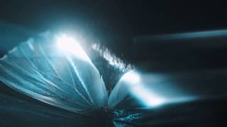 Download lagu The GazettE - Without a Trace「LYRIC VIDEO」