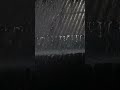 Heavy Rain Sounds &amp; Thunderstorm Nature's Lullaby