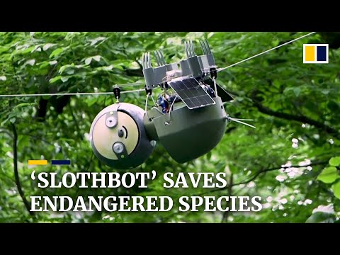 ‘Slothbot’ saves endangered species by moving slowly to see the big environmental picture