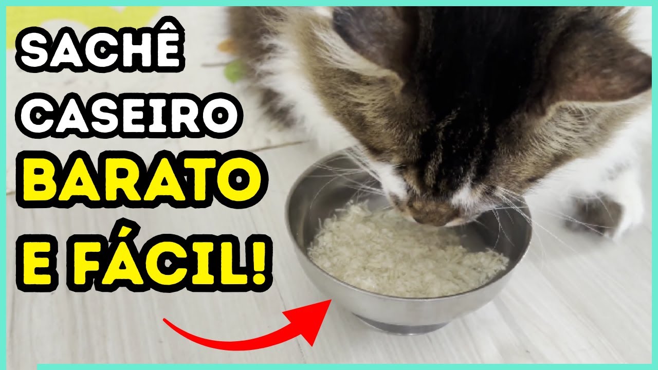 Fiz o Sachê Caseiro Mais FÁCIL E BARATO Que Existe Para Os Meus Gatos!