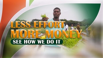 Less Effort More Money