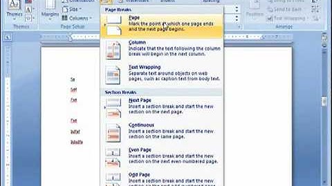 Word 2007 - Multiple page orientations