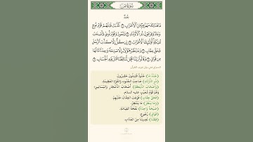 السراج في بيان غريب القران سورة ص ٣ تلاوة الشيخ سعد الغامدي