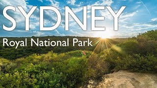 Royal National Park in Sydney, Australia