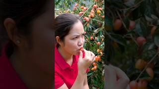 Harvesting Oleaster Fruits And Water Spinach For Sale - Care Garden Pond - Han Harvesting