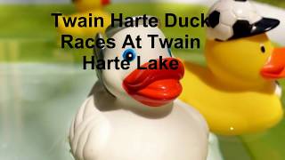 Twain Harte Duck Races At Twain Harte Lake