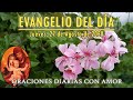 Evangelio del día Jueves, 27 de Agosto de 2020 - Estén preparados