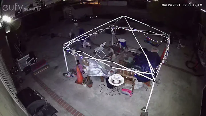 first night after they boarded up