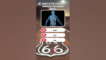 🧠 Test Your IQ! 🤔 IQ Knowledge Challenge - Can You Get Them All Right?