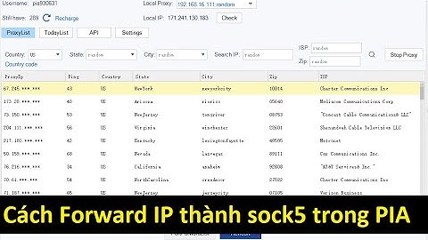 Hướng Dẫn Forward Proxy Trong PIA