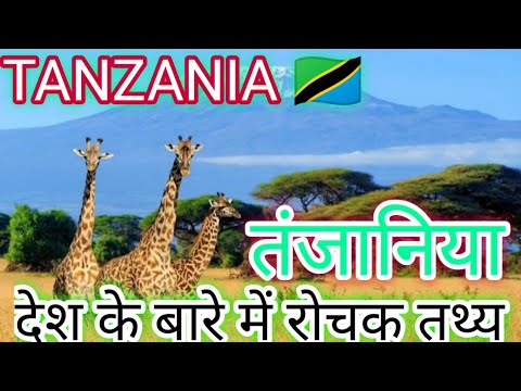 वीडियो: तंजानिया घूमने का सबसे अच्छा समय