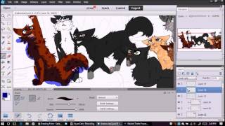 ShadowClan Night (Warrior Cats Speedpaint)